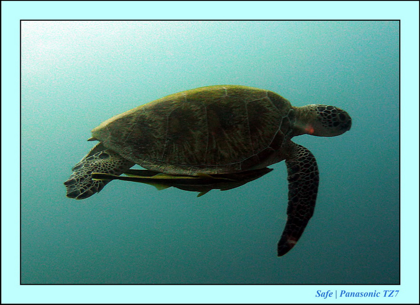 2011 - 08 - Borneo - Mantabuan 15